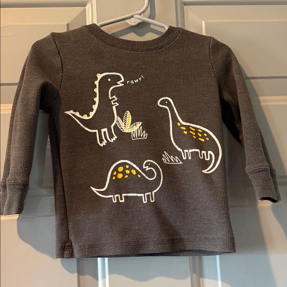 Kids Dinosaur Graphic Long Sleeve Shirt - Gray